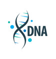 Logo dna vector image