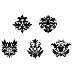 Flower patterns Flower patterns vector image