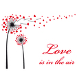 Dandelion with red hearts vector image