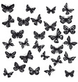 Silhouettes of butterflies vector image