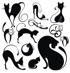Black cat vector image