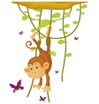 Monkey vector image