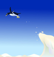 Diving penguin vector image