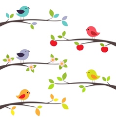 Birds on branches vector image