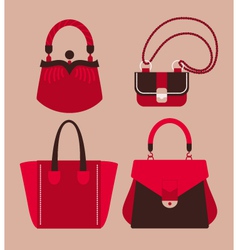 Woman bags vector image