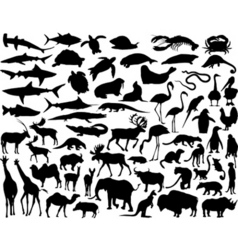 Animals vector image