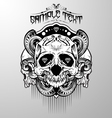 Skull vector image