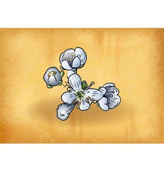 Spring vector image