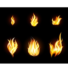 Fire Flames Set vector image