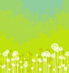 Dandelions background vector image