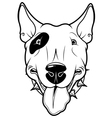 Bull Terrier vector image
