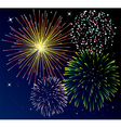 Fireworks vector image