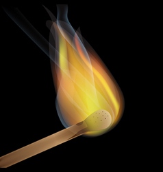 Burning match vector image