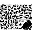 Cat outlines vector image