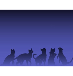 Inquisitive vector image