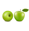 Fresh green apples vector image