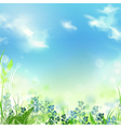 Summer or spring meadow vector image