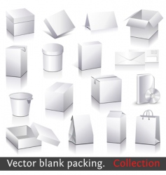 Blank packing vector image