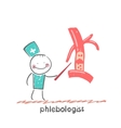 Phlebologist Phlebologist vector image