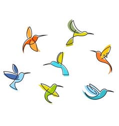 Abstract colorful hummingbirds vector image