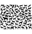 Dog outlines vector image