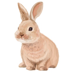 Rabbit vector image