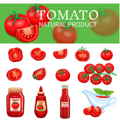 Set of tomatoes and sauces vector image