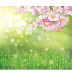 Spring vector image