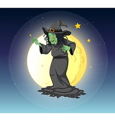 A witch at the fullmoon vector image