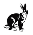 Sitting hare black and white image vector image