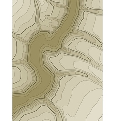 Abstract topographic map vector image