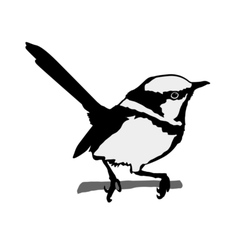 Black silhouette of wren vector image