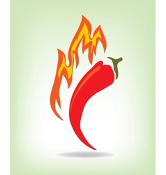 Red hot pepper vector image