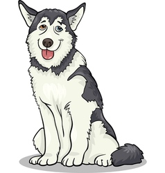 Husky or malamute dog cartoon vector image