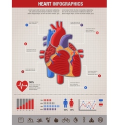 Human Heart health disease and attack infographic vector image