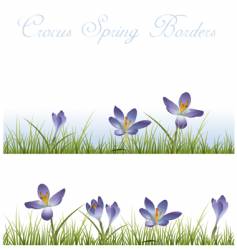 Crocus borders vector image