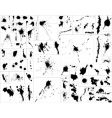 Ink splatters vector image