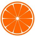 Orange slice vector image