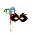 Carnival or theater mask vector image