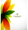 Colorful abstract flower design template vector image