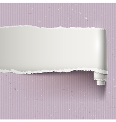 Banner with torn paper vector image