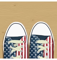 Usa shoes vector image