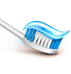 Toothbrush gel vector image