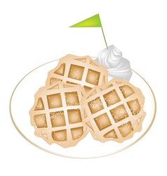 Three Baked Waffles with Icing and Whipped Cream vector image
