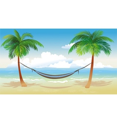 Hammock and palm trees on beach vector image