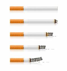 Cigarette vector image