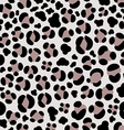 Leopard seamless background Leopard seamless background vector image