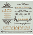 Set of decorative calligraphic elements vector image