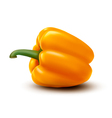 Fresh yellow pepper vector image
