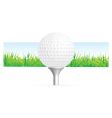 Golf background vector image